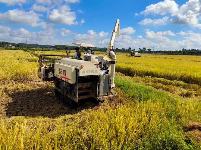 农业农村部农机化总站领导到兴宾区指导水稻"双抢"机械化生产工作